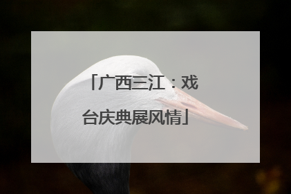 广西三江：戏台庆典展风情